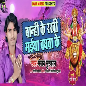 Banhi Ke Rakhi Maiya Baghwa Ke image