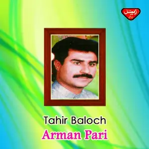 Arman Pari image