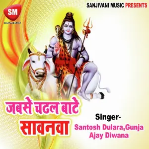 Jab Se Chadhal Bate Sawanba image