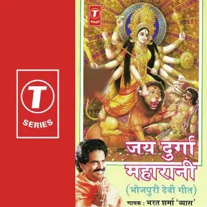 Jai Durga Maharani image