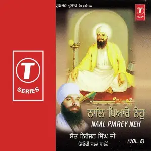 Naal Piarey Neh (Vol. 6) image