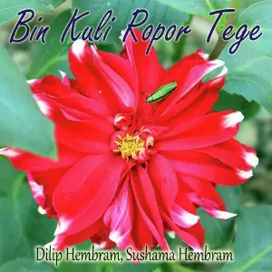 Bin Kuli Ropor Tege image