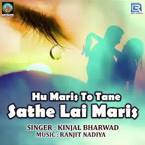 Hu Maris To Tane Sathe Lai Maris image