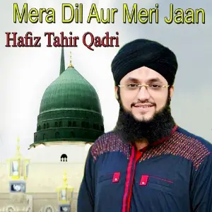 Mera Dil Aur Meri Jaan image