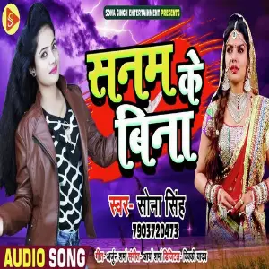 Sanam Ke Bina image