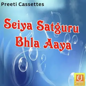 Seiya Satguru Bhla Aaya image