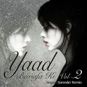 Yaad Bewafa Ki Vol. 2 image