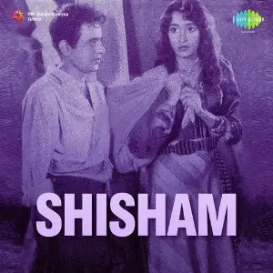 Shisham image