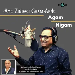 Aye Zindagi Gham Apne image