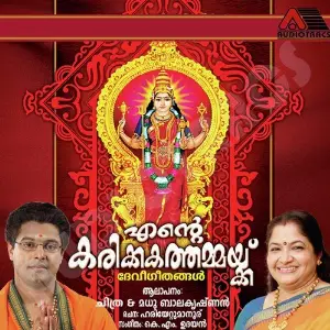 Ente Karikkathammakku image