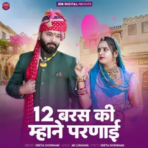 12 Baras Ki Mhane Parnai image