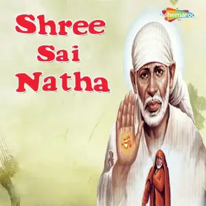 Shree Sai Natha image