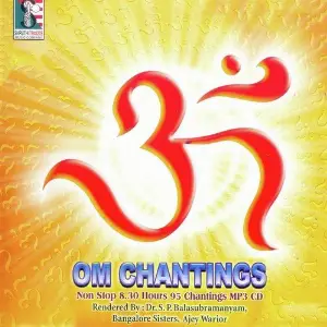 Om Chantings Bangalore Sisters, Ajay Warriar
