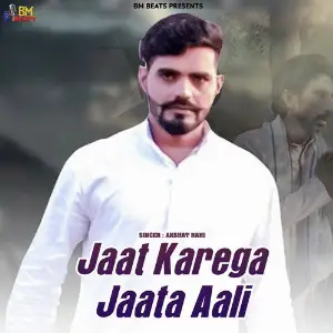Jaat Karega Jaata Aali - Single image