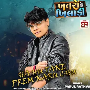 Ha Hu Tane Prem Karu Chu image