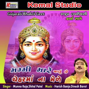 Mammy Mare Javu Che Cheharma Na Mele Bhakti Geet image