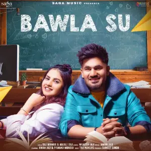 Bawla Su image