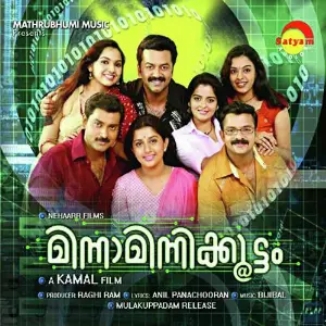 Minnaminnikoottam image