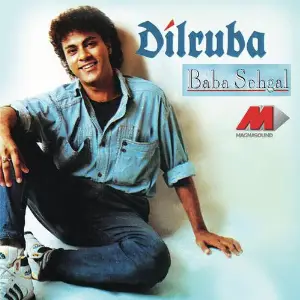 Dilruba image