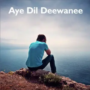 Aye Dil Deewane image