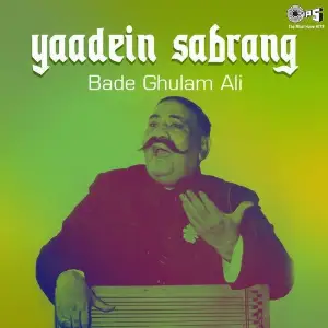 Yaadein Sabrang image