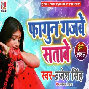 Fagun Gajbe Satave image