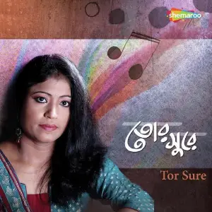 Tor Sure image