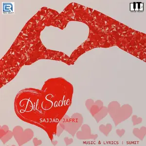 Dil Soche image