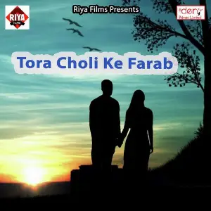 Tora Choli Ke Farab image