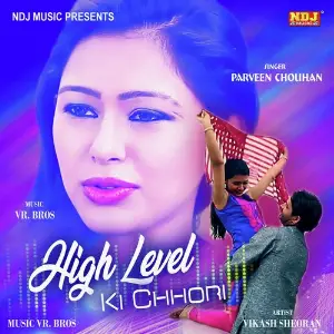 High Level Ki Chhori image