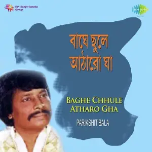 Parikshit Bala Baghe Chhnule Atharo Gha image