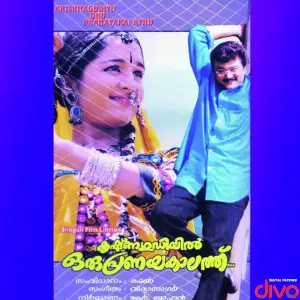 Krishnagudiyil Oru Pranayakalathu image