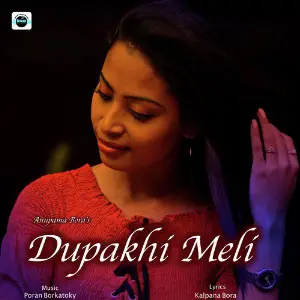 Dupakhi Meli - Single image