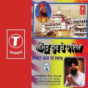 Amrit Gur Te Paya (Vol. 8) image