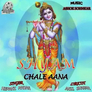 Shyam Chale Aana image