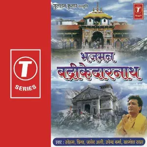 Bhajman Badrikedarnath image