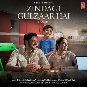 Zindagi Gulzaar Hai (From Fragile) image