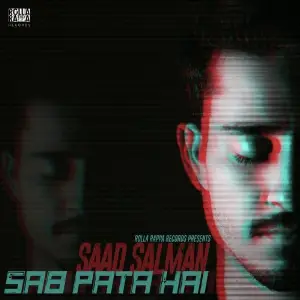 Sab Pata Hai image