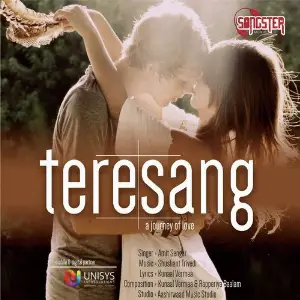 Tere Sang image