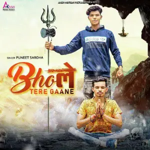 Bhole Tere Gaane image