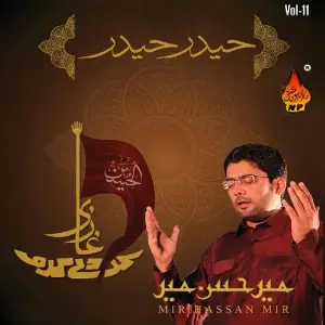 Haider Haider, Vol. 11 image