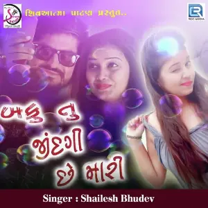 Baku Tu Jindagi Chhe Mari image