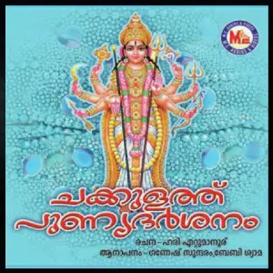 Chakkulathupunnyadarshanam image
