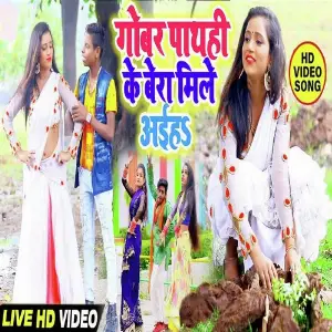 Gobar Pathahi Ke Bera Mile Aiha image