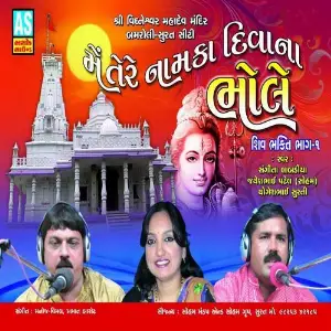 Mein Tere Naam Ka Diwana Bhole Vol. 1 image