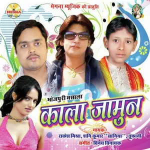Kala Jamun image