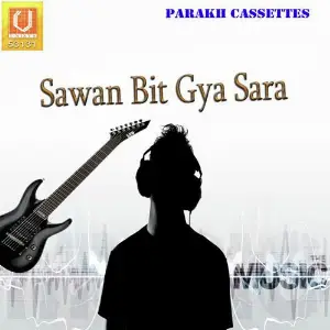 Sawan Bit Gya Sara image