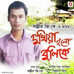 Dukhiya Holu Bulike - Single image