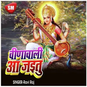 Vina Wali Aa Jaitu (Sarswati Puja Song) image
