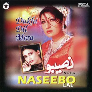 Dukhi Dil Mera, Vol. 6 image